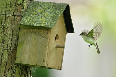 BUITEN BEELD Foto: 237832