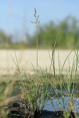 BUITEN BEELD Foto: 237836