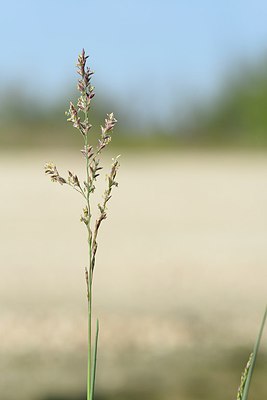 BUITEN BEELD Foto: 237839