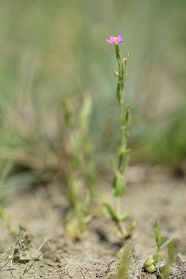 BUITEN BEELD Foto: 237860