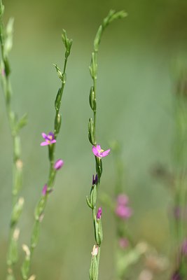 BUITEN BEELD Foto: 237862