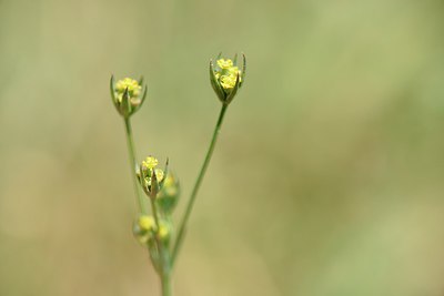 BUITEN BEELD Foto: 237876