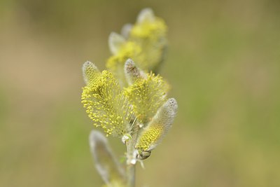 BUITEN BEELD Foto: 237951