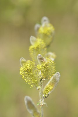 BUITEN BEELD Foto: 237952