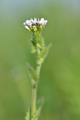 BUITEN BEELD Foto: 237958