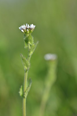BUITEN BEELD Foto: 237959