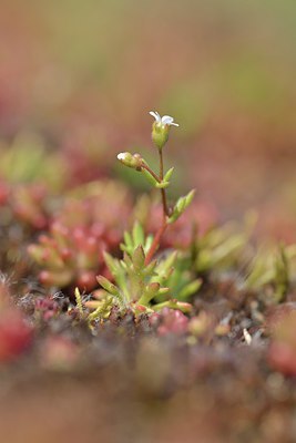 BUITEN BEELD Foto: 237963