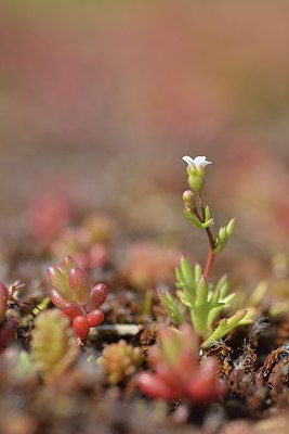 BUITEN BEELD Foto: 237964