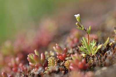 BUITEN BEELD Foto: 237965