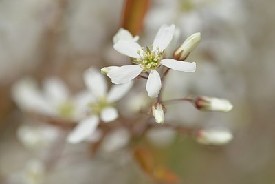 BUITEN BEELD Foto: 237977