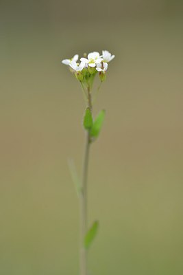 BUITEN BEELD Foto: 237991