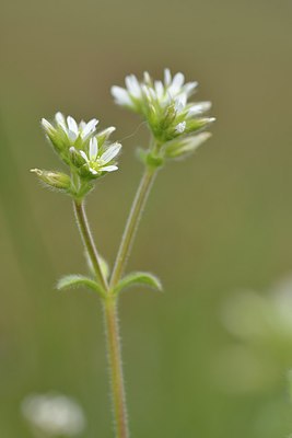 BUITEN BEELD Foto: 237999