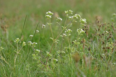 BUITEN BEELD Foto: 238000
