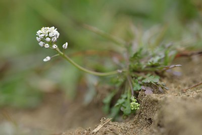 BUITEN BEELD Foto: 238004