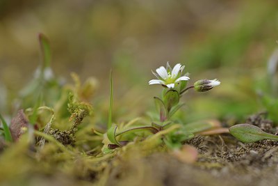 BUITEN BEELD Foto: 238008