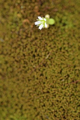 BUITEN BEELD Foto: 238019