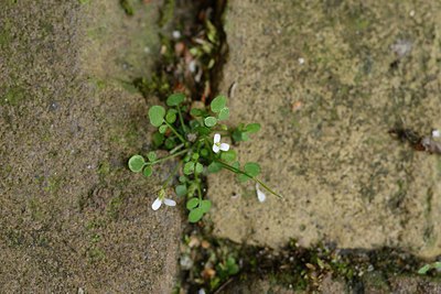 BUITEN BEELD Foto: 238032