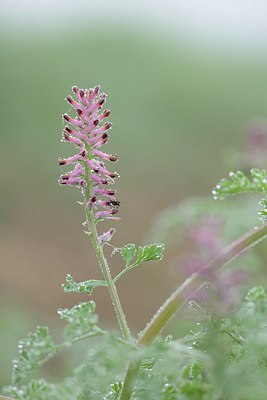 BUITEN BEELD Foto: 238040