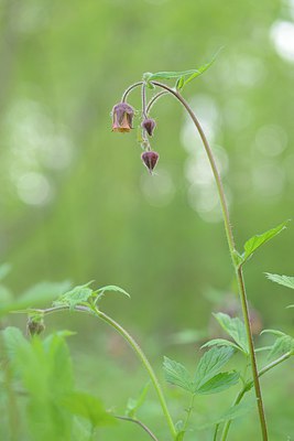 BUITEN BEELD Foto: 238046