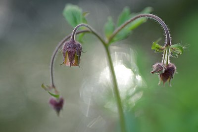 BUITEN BEELD Foto: 238049