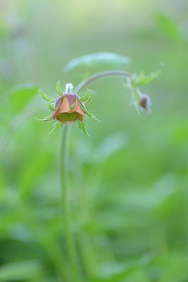 BUITEN BEELD Foto: 238055