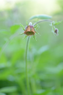 BUITEN BEELD Foto: 238056