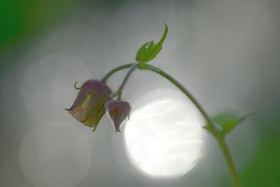 BUITEN BEELD Foto: 238060
