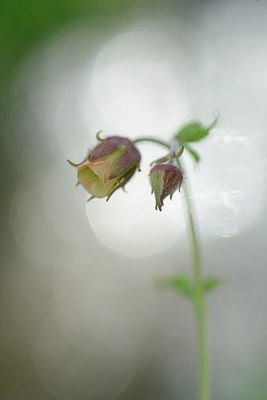BUITEN BEELD Foto: 238062