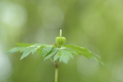BUITEN BEELD Foto: 238070