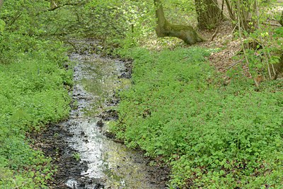 BUITEN BEELD Foto: 238071