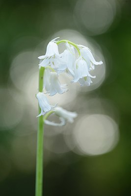 BUITEN BEELD Foto: 238096
