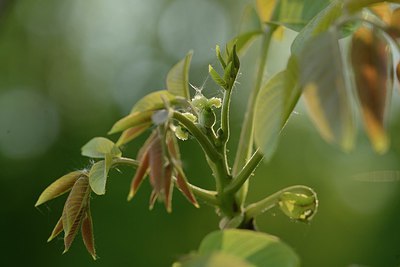 BUITEN BEELD Foto: 238164