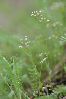BUITEN BEELD Foto: 238169