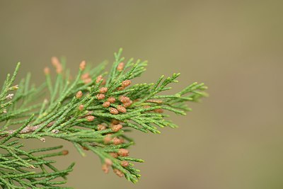 BUITEN BEELD Foto: 238177