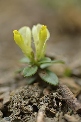 BUITEN BEELD Foto: 238180