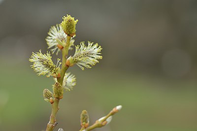 BUITEN BEELD Foto: 238197