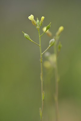 BUITEN BEELD Foto: 238214