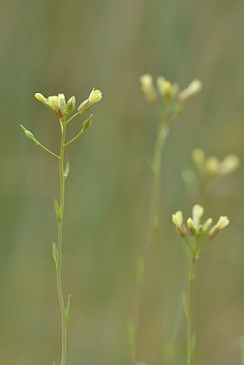 BUITEN BEELD Foto: 238217