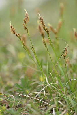 BUITEN BEELD Foto: 238229