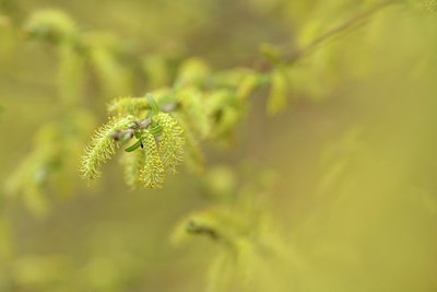 BUITEN BEELD Foto: 238234