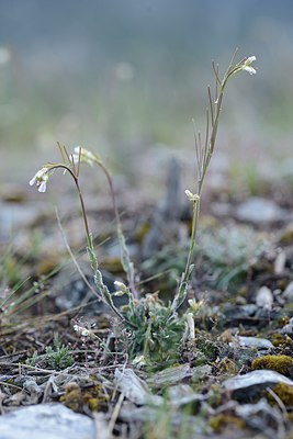 BUITEN BEELD Foto: 238250