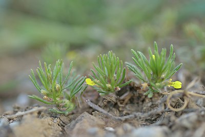 BUITEN BEELD Foto: 238285