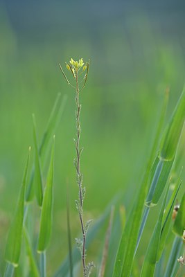 BUITEN BEELD Foto: 238286