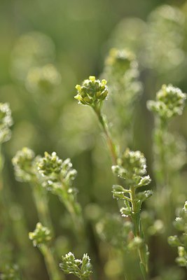 BUITEN BEELD Foto: 238291