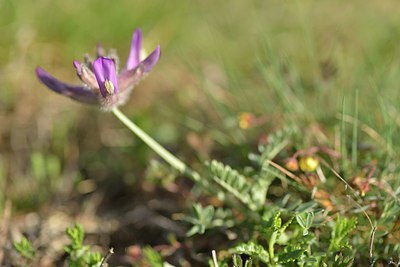 BUITEN BEELD Foto: 238293
