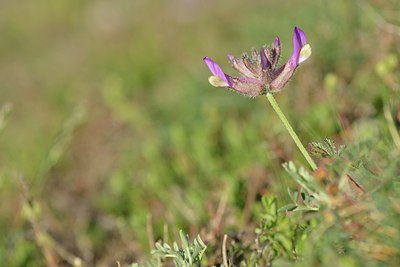 BUITEN BEELD Foto: 238296