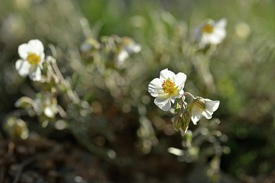 BUITEN BEELD Foto: 238301