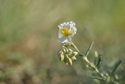 BUITEN BEELD Foto: 238304