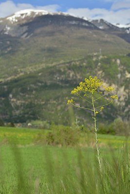 BUITEN BEELD Foto: 238317