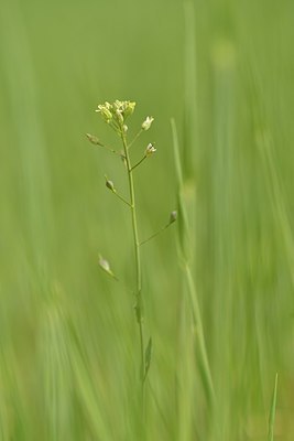 BUITEN BEELD Foto: 238325